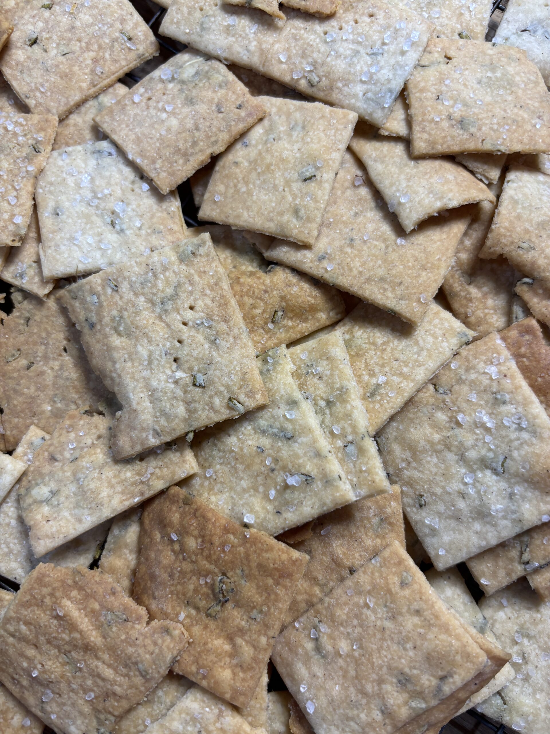 Gluten Free Sourdough Crackers